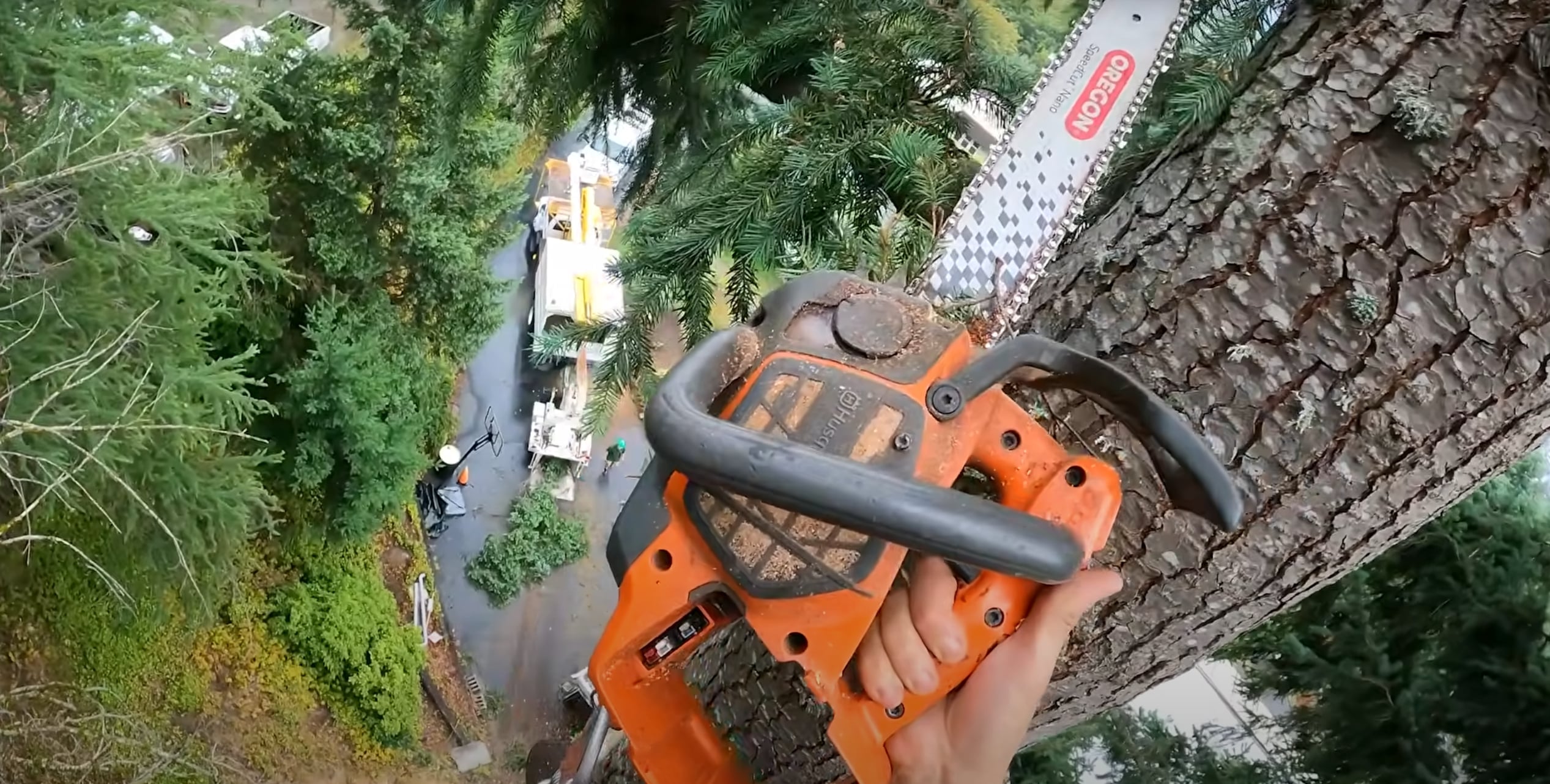 Arborist performing seasonal tree trimming in Lawton, OK