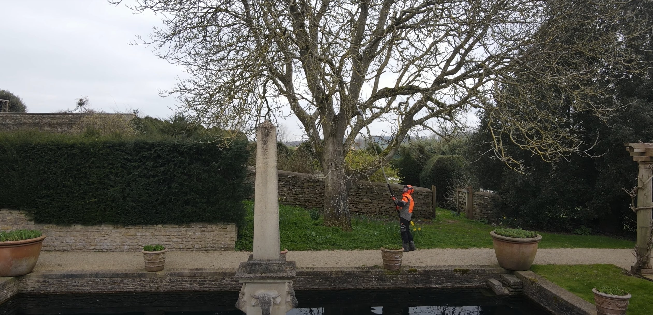 Professional tree service specialist working on tree in Lawton, OK